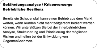 Gefährdungsanalyse, Krisenvorsorge und betriebliche Resilienz